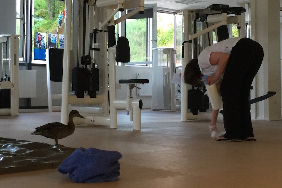 Ente im Fitnessstudio 4