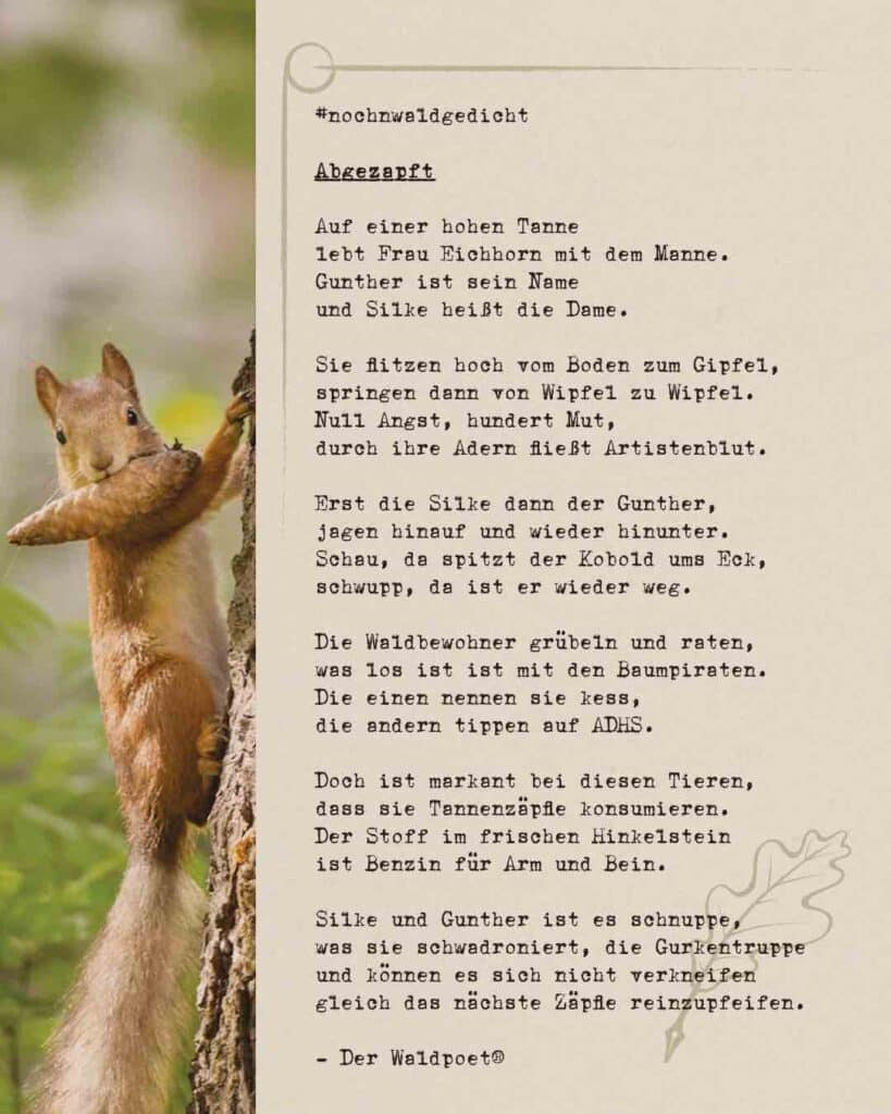 noch-n-waldgedicht-abgezapft-waldpoet